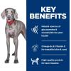 imageHills Science Diet Large Breed Adult 15 Large Breed Premium Nutrition Dry Dog Food No Corn Wheat Soy Chicken ampamp Brown Rice 30 lb BagNo Corn  Wheat  Soy Chicken  Brown Rice