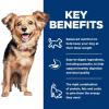 imageHills Science Diet Perfect Digestion Adult 16 Small ampamp Mini Breeds Digestive Support Dry Dog Food Chicken ampamp Brown Rice 35 lb BagChicken  Brown Rice