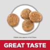 imageHills Science Diet Perfect Weight Adult 16 Small ampamp Mini Breeds Weight Management Support Dry Dog Food Chicken Recipe 125 lb BagChicken