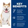 imageHills Science Diet Sensitive Stomach ampamp Skin Adult 16 Stomach ampamp Skin Sensitivity Support Dry Dog Food Chicken Recipe 30 lb BagPollock  Barley   Insect Recipe