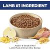 imageHills Science Diet Small ampamp Mini Adult 16 Small ampamp Mini Breeds Premium Nutrition Dry Dog Food Chicken ampamp Brown Rice 155 lb BagLamb  Brown Rice