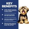 imageHills Science Diet Small ampamp Mini Adult 16 Small ampamp Mini Breeds Premium Nutrition Dry Dog Food Chicken ampamp Brown Rice 155 lb BagLamb  Brown Rice