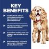 imageHills Science Diet Adult 11 Small ampamp Mini Chicken Meal Brown Rice ampamp Barley Recipe Dry Dog Food 155 lbs