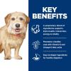 imageHills Science Diet Adult 7 Senior Vitality Small ampamp Mini Chicken ampamp Rice Recipe Dry Dog Food 35 lbsChicken  Rice
