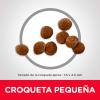 imageHills Science Diet Dry Dog Food Puppy Small ampamp Mini Chicken Meal Barley ampamp Brown Rice Recipe 155 lb Bag