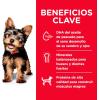 imageHills Science Diet Dry Dog Food Puppy Small ampamp Mini Chicken Meal Barley ampamp Brown Rice Recipe 155 lb Bag
