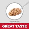 imageHills Science Diet Kitten Savory Salmon Entree Canned Wet Cat Food 55 oz Case of 24Liver  Chicken Minced