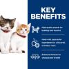 imageHills Science Diet Kitten Savory Salmon Entree Canned Wet Cat Food 55 oz Case of 24Salmon