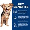 imageHills Science Diet Perfect Digestion Adult 16 Small ampamp Mini Breeds Digestive Support Wet Dog Food Chicken ampamp Vegetables Loaf 58 oz Can Case of 24Chicken  Vegetables Loaf