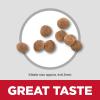 imageHills Science Diet Small ampamp Mini Chicken Meal ampamp Brown Rice Recipe Dry Dog Food 45 lbs