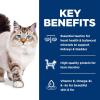 imageHills Science Diet Adult 16 Adult 16 Premium Nutrition Dry Cat Food No Corn Wheat Soy Chicken ampamp Brown Rice Recipe 35 lb BagNo Corn  Wheat  Soy Chicken  Brown Rice Recipe