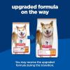imageHills Science Diet Adult 16 Adult 16 Premium Nutrition Dry Dog Food No Corn Wheat Soy Chicken ampamp Brown Rice 15 lb BagNo Corn  Wheat  Soy Chicken  Brown Rice
