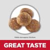 imageHills Science Diet Puppy Puppy Premium Nutrition Dry Dog Food Chicken ampamp Brown Rice 275 lb BagChicken  Brown Rice