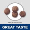 imageHills Science Diet Puppy Puppy Premium Nutrition Dry Dog Food Chicken ampamp Brown Rice 275 lb BagLamb  Brown Rice