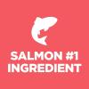 imageHills Science Diet Sensitive Stomach ampamp Skin Kitten Stomach ampamp Skin Sensitivity Support Dry Cat Food Salmon ampamp Brown Rice 35 lb BagSalmon  Brown Rice