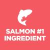 imageHills Science Diet Sensitive Stomach ampamp Skin Puppy Stomach ampamp Skin Sensitivity Support Dry Dog Food Salmon ampamp Brown Rice 4 lb BagSalmon  Brown Rice
