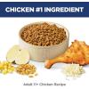 imageHills Science Diet Adult 11 Senior Adult 11 Premium Nutrition Dry Cat Food Chicken Recipe 7 lb BagChicken