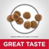 imageHills Science Diet Dry Dog Food Puppy Small Bites Chicken Meal ampamp Barley Recipe 155 lb BagChicken  Barley