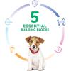 imageHills Science Diet Dry Dog Food Puppy Small Bites Chicken Meal ampamp Barley Recipe 155 lb BagChicken