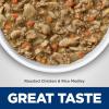 imageHills Science Diet Healthy Cuisine Adult 16 Great Taste Wet Cat Food Roasted chicken ampamp Rice Stew 28 oz Can Case of 24Roasted chicken  Rice Stew