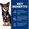 imageHills Science Diet Perfect Digestion Adult 16 Digestive Support Small Kibble Dry Dog Food Chicken Brown Rice ampamp Whole Oats 12 lb BagChicken  Brown Rice   Whole Oats