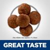 imageHills Science Diet Perfect Digestion Adult 16 Digestive Support Small Kibble Dry Dog Food Chicken Brown Rice ampamp Whole Oats 12 lb BagChicken  Brown Rice   Whole Oats
