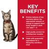 imageHills Science Diet Healthy Cuisine Adult 16 Great Taste Wet Cat Food Seared Tuna ampamp Carrot Stew 28 oz Can Case of 24