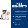 imageHills Science Diet Kitten Kitten Premium Nutrition Wet Cat Food Turkey Minced 55 oz Can Case of 24
