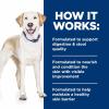 imageHills Prescription Diet dd SkinFood Sensitivities Salmon Formula Canned Dog Food Veterinary Diet 13 oz 12Pack Wet FoodDuck