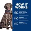 imageHills Prescription Diet dd SkinFood Sensitivities Salmon Formula Canned Dog Food Veterinary Diet 13 oz 12Pack Wet FoodPotato  Venison