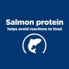 imageHills Prescription Diet dd SkinFood Sensitivities Salmon Formula Canned Dog Food Veterinary Diet 13 oz 12Pack Wet FoodSalmon