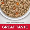 imageHills Science Diet Healthy Cuisine Adult 16 Great Taste Wet Cat Food Poached Salmon ampamp Spinach Medley 28 oz Can Case of 24
