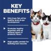 imageHills Science Diet Kitten Kitten Premium Nutrition Wet Cat Food Chicken ampamp Vegetables Stew 28 oz Pouch Case of 24
