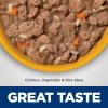 imageHills Science Diet Perfect Digestion Adult 16 Digestive Support Wet Cat Food Chicken Vegetables ampamp Rice Stew 29 oz Can Case of 24Chicken  Vegetables  Rice Stew