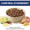 imageHills Science Diet Puppy Large Breed Puppy Premium Nutrition Dry Dog Food Lamb ampamp Brown Rice 30 lb BagLamb  Brown Rice