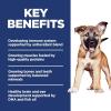 imageHills Science Diet Puppy Large Breed Puppy Premium Nutrition Dry Dog Food Lamb ampamp Brown Rice 30 lb BagLamb  Brown Rice