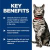 imageHills Science Diet Urinary Hairball Control Adult 16 Urinacy Track Health ampamp Hairball Control Support Wet Cat Food Tuna ampamp Vegetables Stew 29 oz Can Case of 24