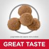 imageHills Science Diet Dry Dog Food Puppy Large Breeds with Real Meat and Whole Grains Lamb Meal And Brown Rice Recipe 33 lb BagChicken Meal  Oats