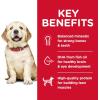 imageHills Science Diet Dry Dog Food Puppy Large Breeds with Real Meat and Whole Grains Lamb Meal And Brown Rice Recipe 33 lb BagChicken Meal  Oats