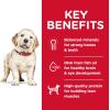 imageHills Science Diet Dry Dog Food Puppy Large Breeds with Real Meat and Whole Grains Lamb Meal And Brown Rice Recipe 33 lb BagLamb